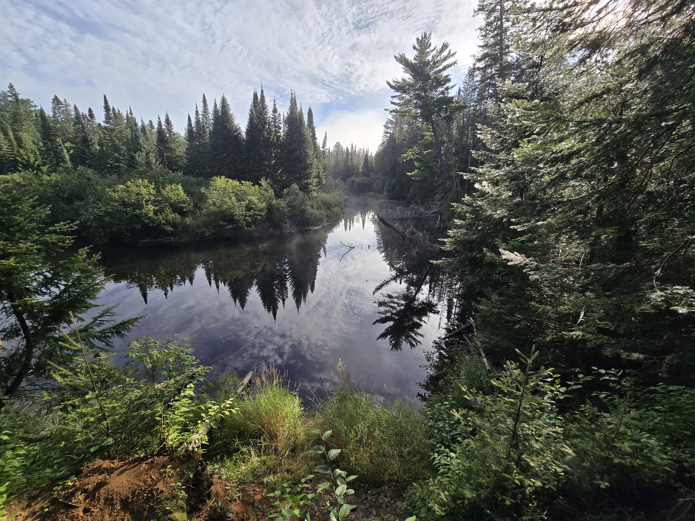 A scenic view from the Whiskey Rapids Trail in Algonquin Provincial Park.